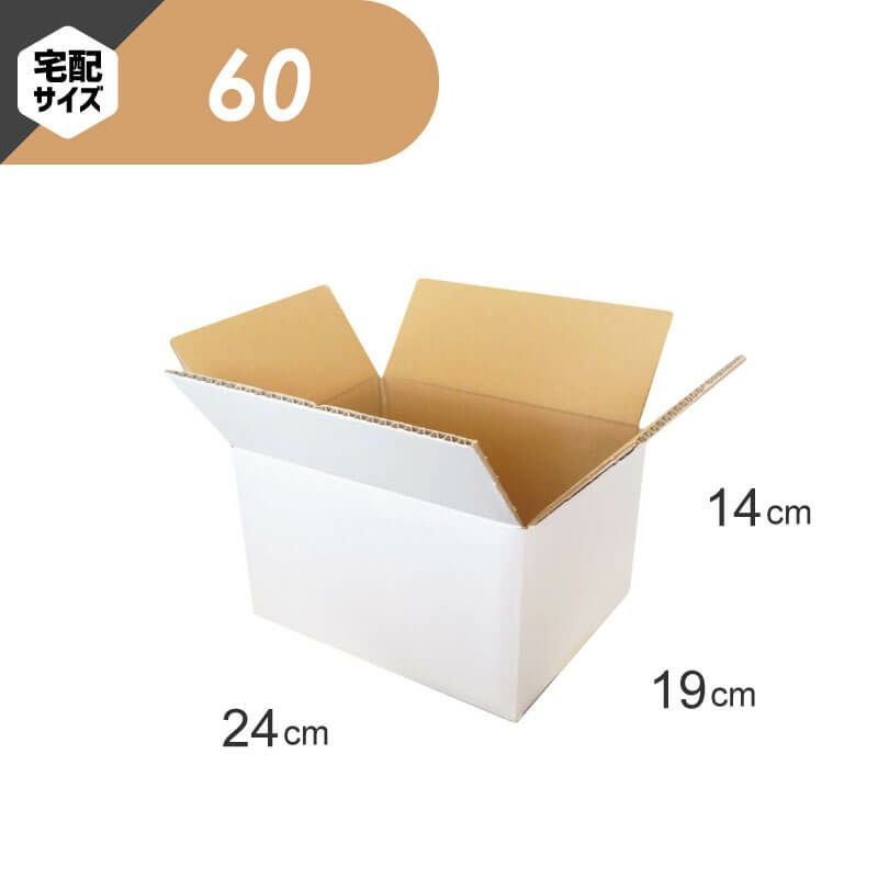 FW08　白ダンボール