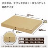 【FY11】ポスト投函用ダンボール箱 [ 309×226×29mm ]